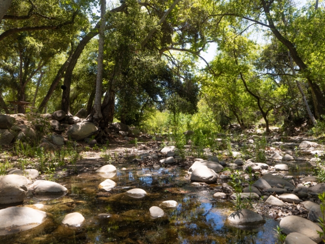 Lake Casitas Recreation Area - creek bed - California