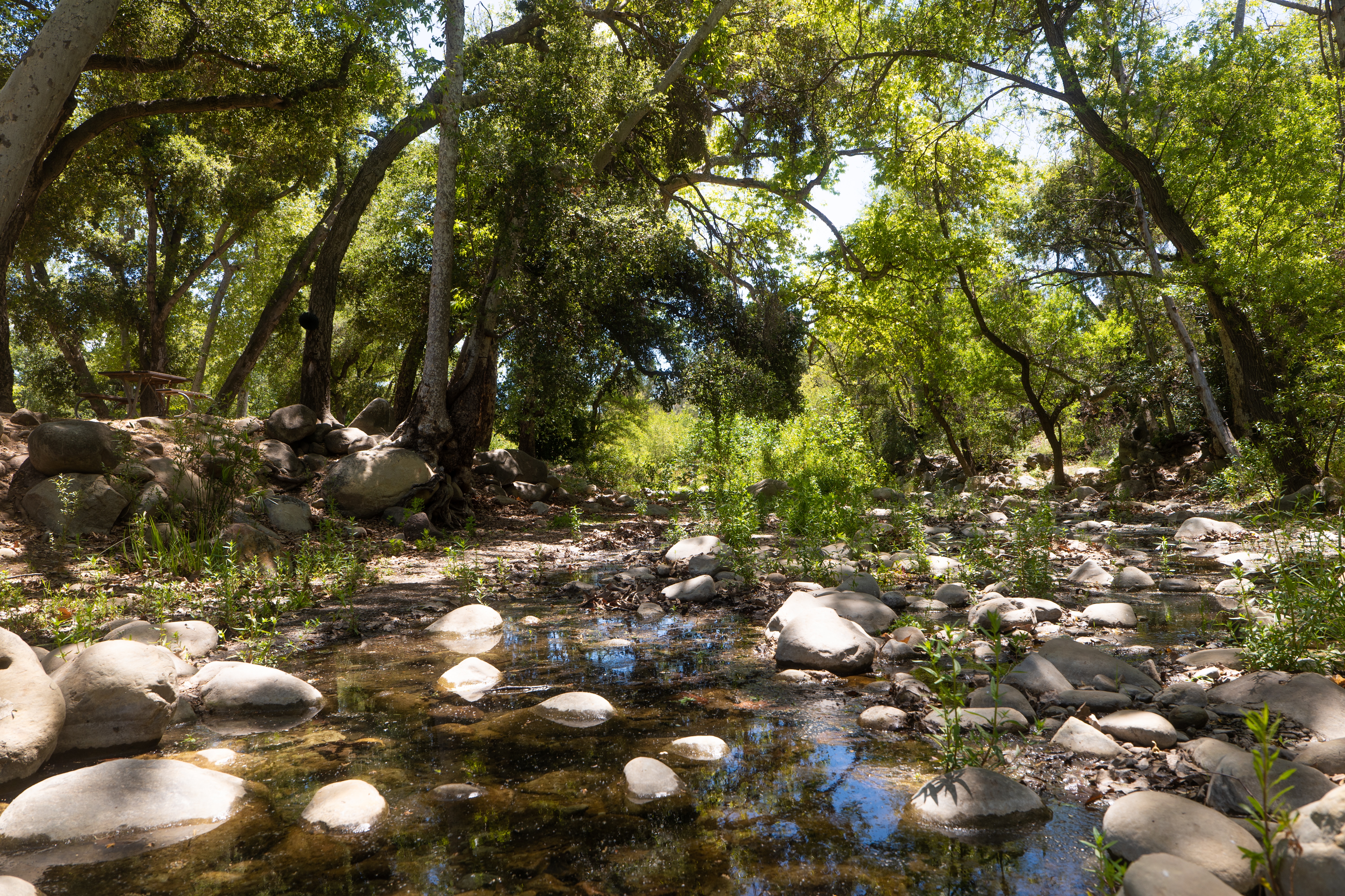 Lake Casitas Recreation Area - creek bed - California