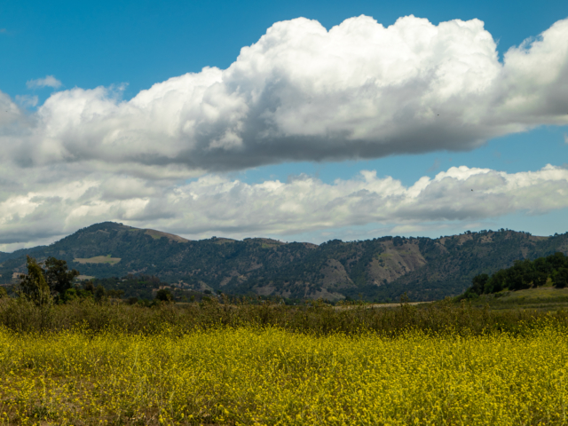 Lake Casitas Recreation Area View - California